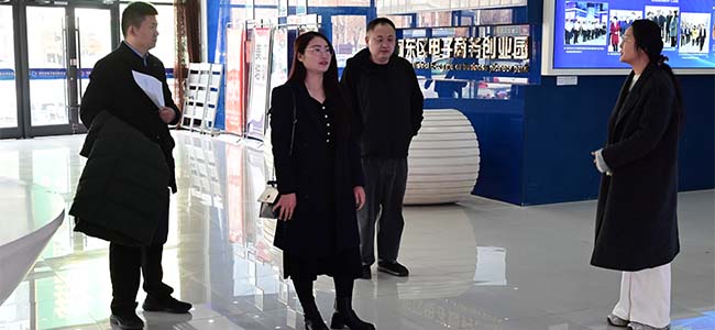河东区政府副区长牛水叶一行到电商创业园考察调研