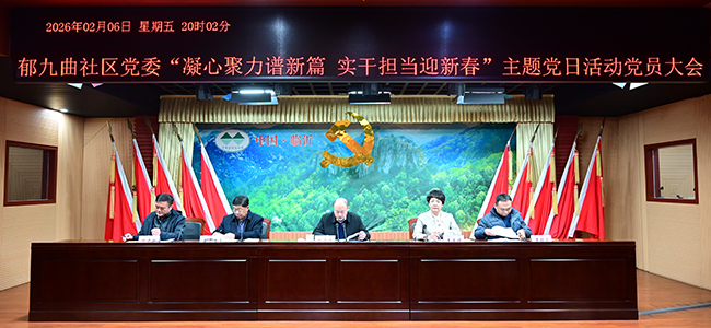 郁九曲社区党委开展“凝心聚力谱新篇 实干担当迎新春”主题党日活动