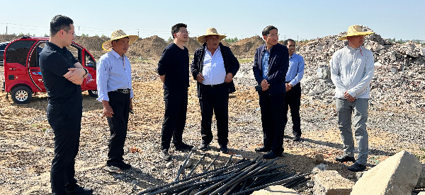 河东区政协主席蒋飞鸿到临沂国际金属生态城调研二期项目建设